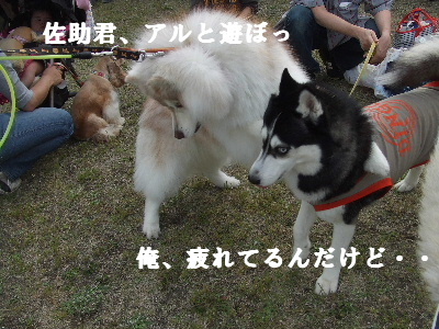 e0121548_143357100.jpg