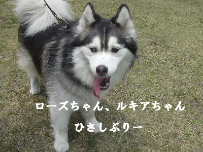 e0121548_1843653.jpg