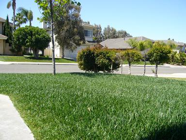 f0062649_050161.jpg