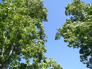 f0062649_1414938.jpg
