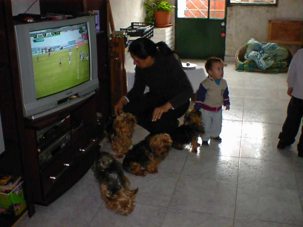 b0099851_9193733.jpg