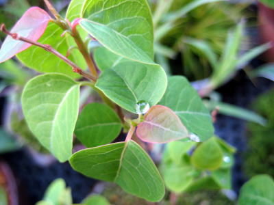 c0147952_20173940.jpg