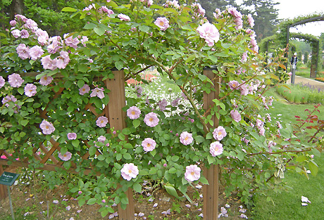 a0001354_214527.jpg