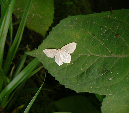 d0091754_032131.jpg