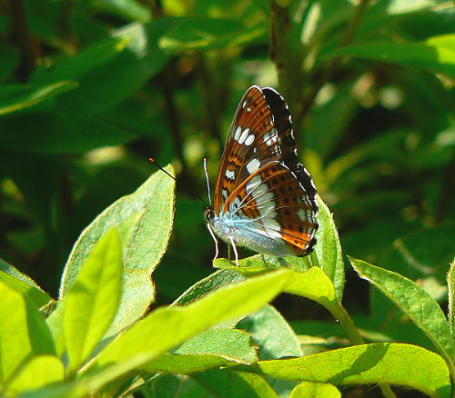 d0091754_0404938.jpg