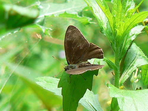 d0091754_1465986.jpg