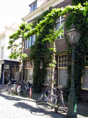 a0073357_183173.jpg