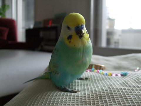 f0149057_040832.jpg