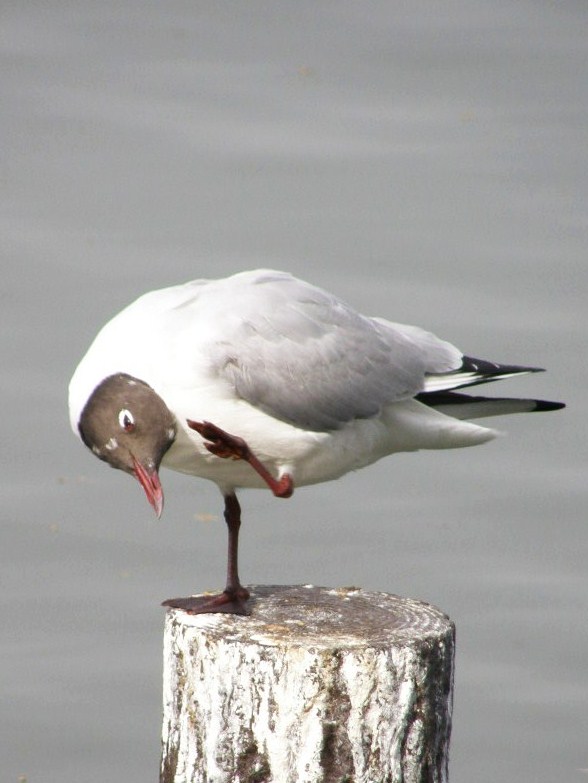 e0064158_2402747.jpg