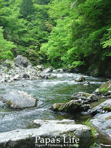 b0053660_12205880.jpg