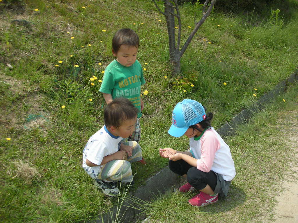 e0137660_6184150.jpg