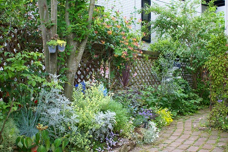 d0083761_2110181.jpg