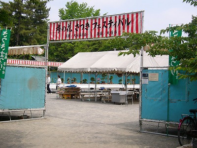 f0106664_6452354.jpg