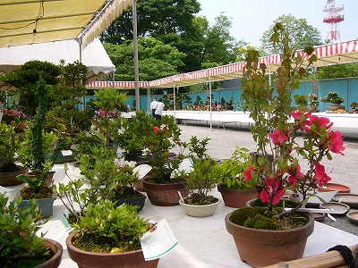 f0106664_6454164.jpg