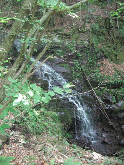 f0016066_14464539.jpg