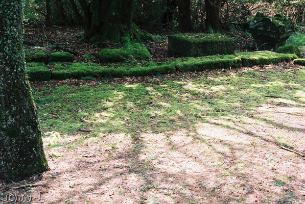 b0136768_23101767.jpg
