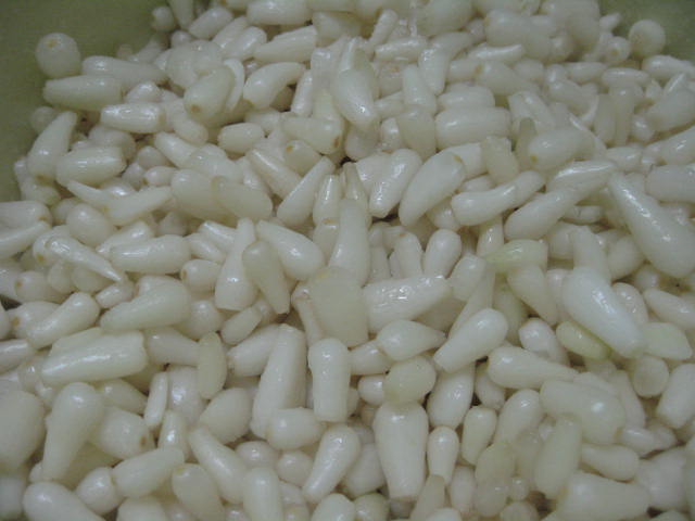 d0070473_857981.jpg