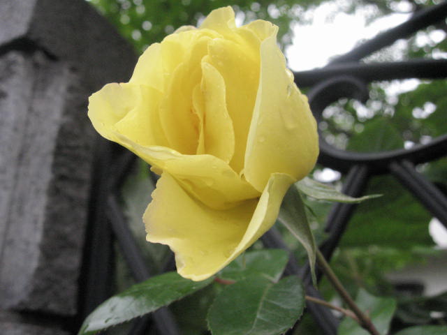 d0070473_9185439.jpg
