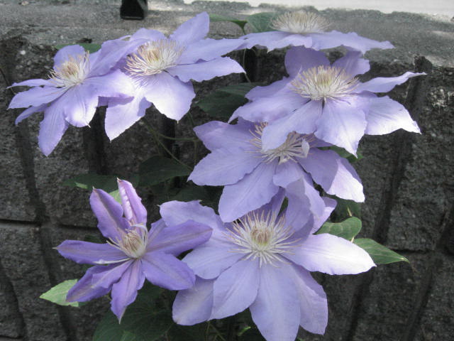 d0070473_9211540.jpg