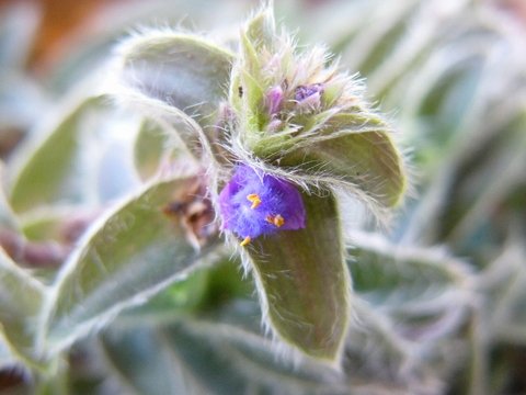 c0139375_14314591.jpg