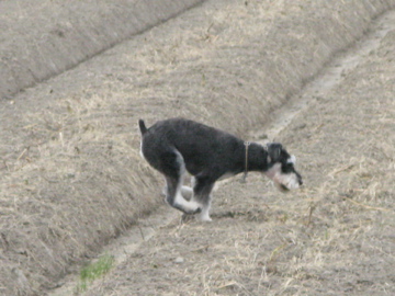 d0137083_2236524.jpg