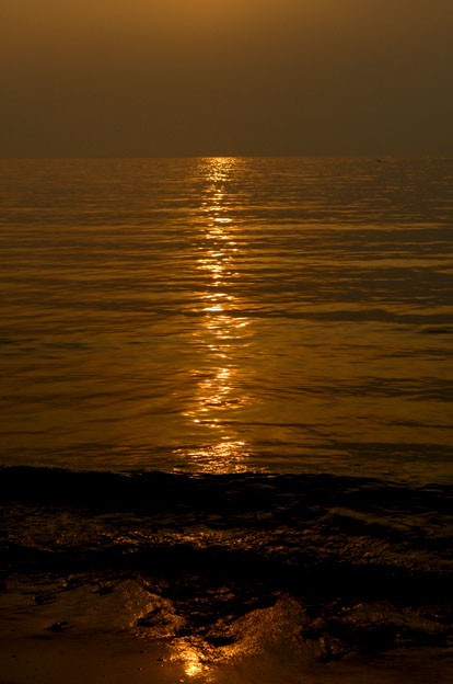 f0112087_162346.jpg