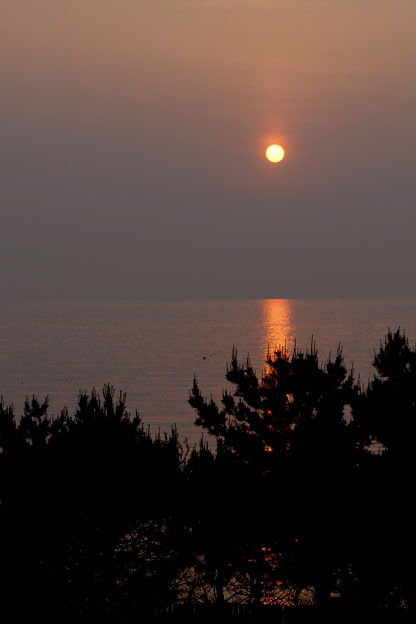 f0112087_1625510.jpg