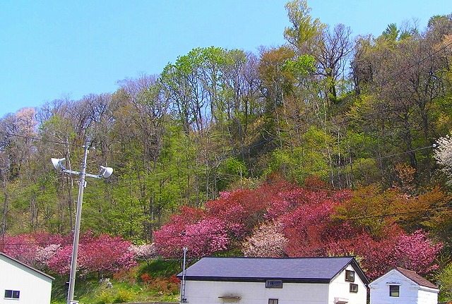 a0067991_9481641.jpg