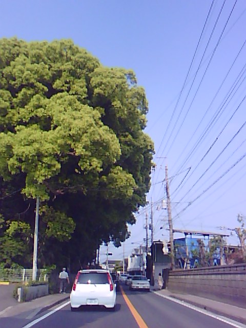 d0112893_174526100.jpg