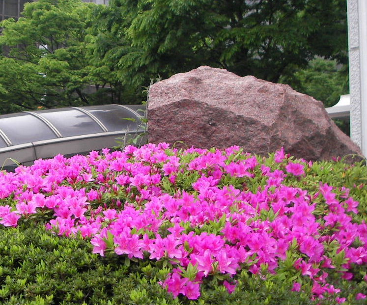 f0100593_18473060.jpg