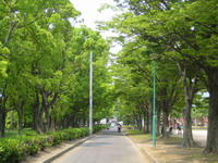 d0034894_15402728.jpg