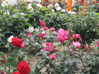d0034894_15553040.jpg