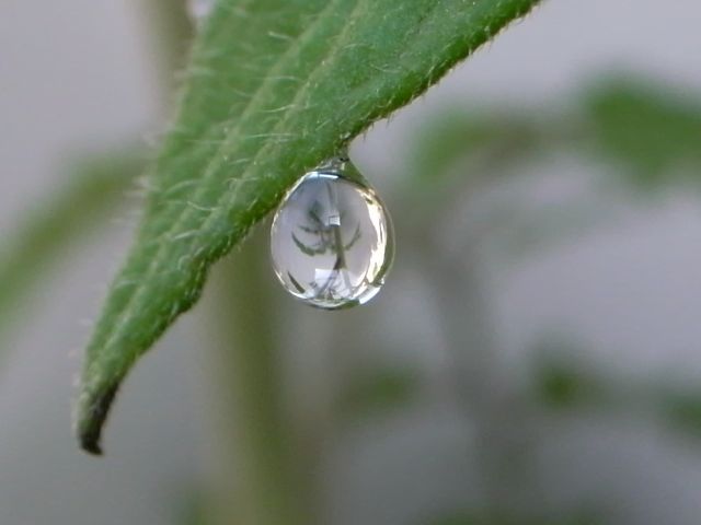 e0041699_1851418.jpg