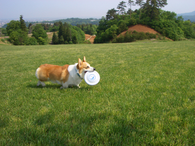 f0164499_016503.jpg