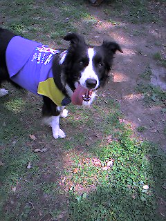 a0065800_024061.jpg