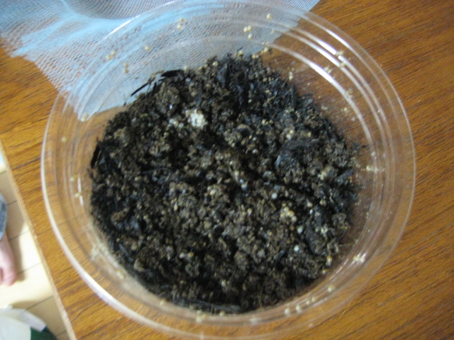 c0123400_932729.jpg