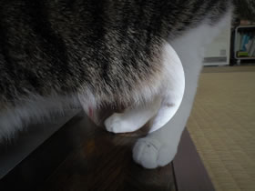 c0035001_140691.jpg