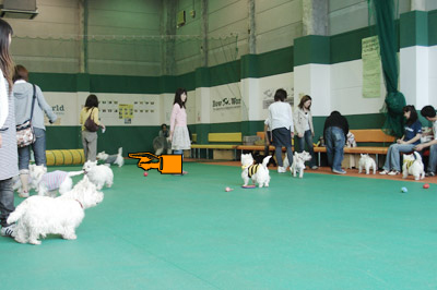 a0050802_112553.jpg