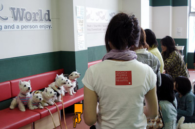 a0050802_116405.jpg