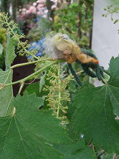 c0129702_2143158.gif