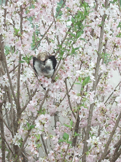 c0129702_2144552.gif