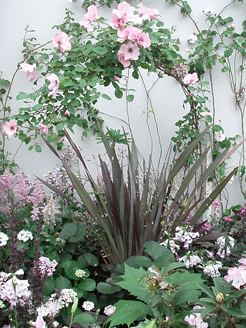c0129702_2161814.gif