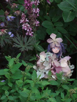 c0129702_2163348.gif