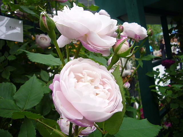 b0114403_2238892.jpg