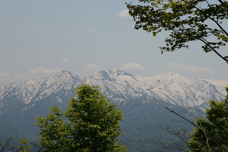 b0050305_7572774.jpg
