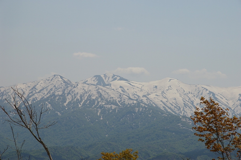 b0050305_804841.jpg