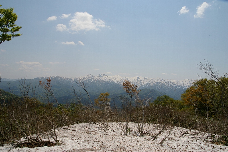 b0050305_811374.jpg