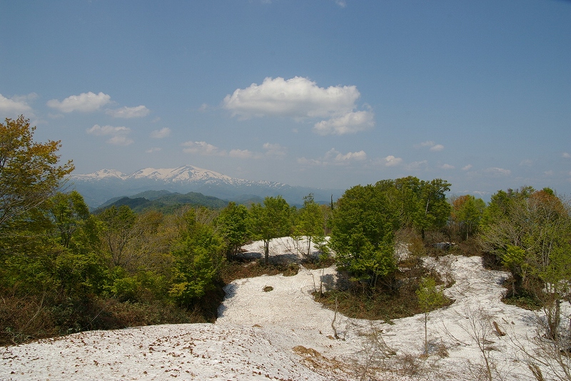 b0050305_812675.jpg