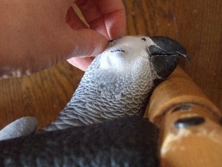 c0133013_1434896.jpg