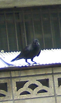 c0133013_14561667.jpg